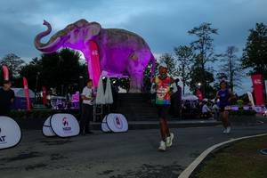 BIB: 
                            <button type="button" onclick="openModal(26529695)" class="btn btn-primary btn-sm float-right btn-popup" data-toggle="modal" data-target=".modal-high-quality">
                        <i class="fas fa-shopping-cart"></i> Add to Cart
                    </button>
                                            <button type="button" onclick="isThisMe(26529695, true)" class="btn btn-success btn-sm float-right btn-popup btn-isme hidden" data-toggle="tooltip" data-placement="bottom" title="นี่คือรูปของคุณใช่ไหม คลิกที่นี่เพื่อเอาเข้าอัลบั้ม">
                        <i class="fas fa-plus"></i> Add to album
                    </button>
                    <button type="button" onclick="isThisMe(26529695, false)" class="btn btn-warning btn-sm float-right btn-popup btn-isnotme hidden">
                        <i class="fas fa-ban"></i> Remove from album
                    </button>